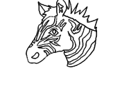 Disegno Zebra II pitturato su chiarachiara p.
