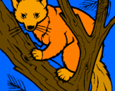 Disegno Martora europea su un albero  pitturato su ambra
