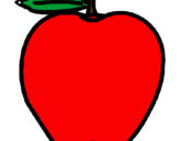 Disegno mela  pitturato su distella andrea