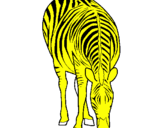 Disegno Zebra  pitturato su ketty