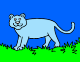Disegno Panthera  pitturato su sara zedda