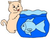 Disegno Gatto e pesce  pitturato su valentina