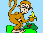 Disegno Scimmietta  pitturato su MATILDA