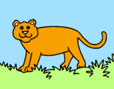 Disegno Panthera  pitturato su margherita