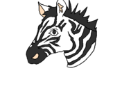Disegno Zebra II pitturato su alice zedda