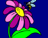 Disegno Margherita con ape  pitturato su Farfallina