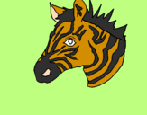 Disegno Zebra II pitturato su VIKI