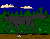Disegno Coyote pitturato su DEBORA