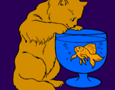 Disegno Gatto che osserva il pesciolino  pitturato su jennifer
