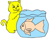 Disegno Gatto e pesce  pitturato su ketty