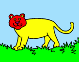Disegno Panthera  pitturato su leone