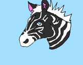Disegno Zebra II pitturato su pritom
