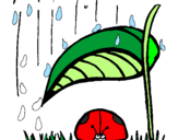 Disegno Coccinella protetta dalla pioggia  pitturato su coccinella