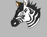 Disegno Zebra II pitturato su anastasia