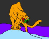 Disegno Tigre con affilati canini  pitturato su samu