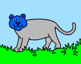 Disegno Panthera  pitturato su noemi la gattina