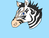 Disegno Zebra II pitturato su luca