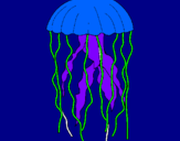 Disegno Medusa  pitturato su leila