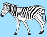 Disegno Zebra  pitturato su claude