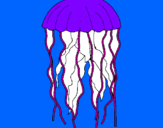 Disegno Medusa  pitturato su rino