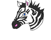 Disegno Zebra II pitturato su alyssa