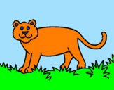 Disegno Panthera  pitturato su lorenzo
