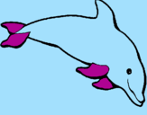 Disegno Delfino felice  pitturato su lori