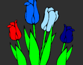 Disegno Tulipani  pitturato su leila