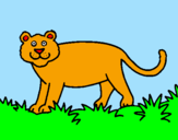 Disegno Panthera  pitturato su ERIKA