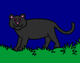 Disegno Panthera  pitturato su fabio