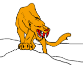 Disegno Tigre con affilati canini  pitturato su tonino