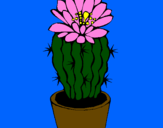 Disegno Cactus fiorito  pitturato su giusy