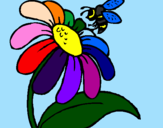Disegno Margherita con ape  pitturato su sara p.