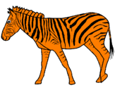 Disegno Zebra  pitturato su alessandro m