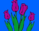 Disegno Tulipani  pitturato su giulia e alessia