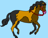 Disegno Cavallo 5 pitturato su ANNA GUIDI