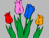 Disegno Tulipani  pitturato su OLLA