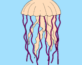 Disegno Medusa  pitturato su titti iaie