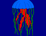 Disegno Medusa  pitturato su leila