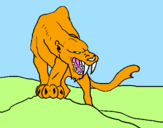 Disegno Tigre con affilati canini  pitturato su giallongo