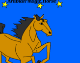 Disegno Cavallo Arabo pitturato su annaq 