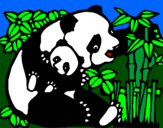Disegno Mamma panda  pitturato su simone.