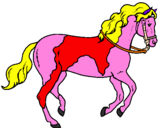 Disegno Cavallo 5 pitturato su MANEULA
