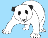 Disegno Orso panda  pitturato su giorgia