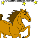 Disegno Cavallo Arabo pitturato su maia