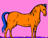 Disegno Cavallo dellAndalusia  pitturato su ar5ianna