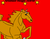 Disegno Cavallo Arabo pitturato su asia