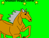 Disegno Cavallo Arabo pitturato su elisal