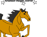 Disegno Cavallo Arabo pitturato su simone