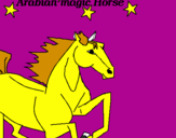 Disegno Cavallo Arabo pitturato su salvo90000